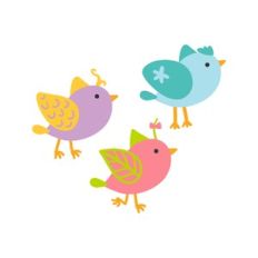 birds