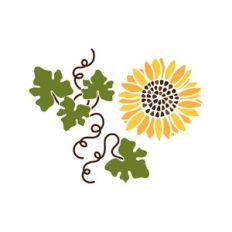 fall / autumn and sunflower