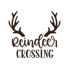 reindeer crossing