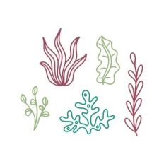 under the sea plants
