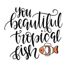 you beautiful tropical fish
