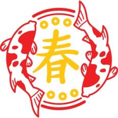 chinese new year