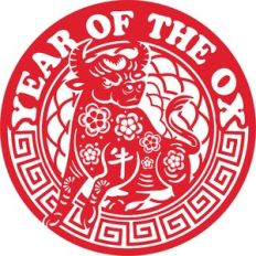 chinese new year