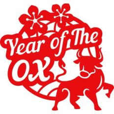 chinese new year