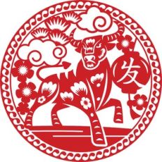 chinese new year