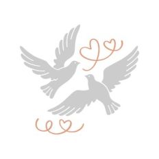 love pigeons