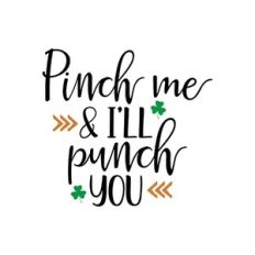 pinch me and i'll punch you