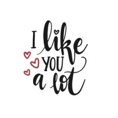 i like you a lot