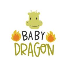 baby dragon