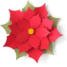 3d poinsettia flower