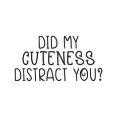 did my cuteness distract you