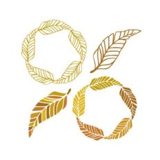 feathers monogram frame