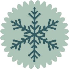 snowflake doily