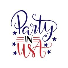 party in usa