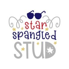 star spangled stud
