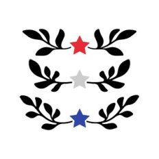 4h of july frames