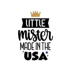 little mister made in the usa