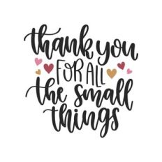 thank you for all the small things