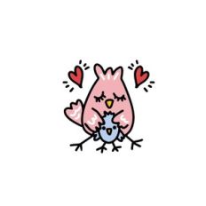 birds