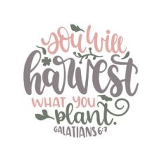 galatians 6:7