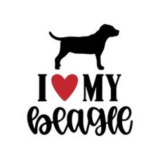 i love my beagle