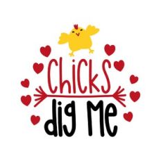chicks dig me