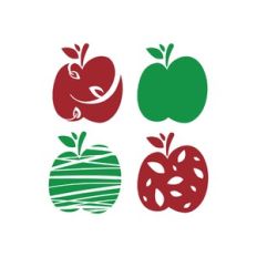 beautiful apples