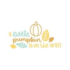 a little pumpkin is on the way!