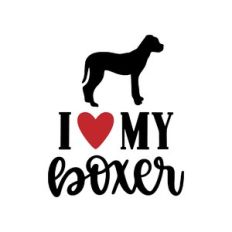 i love my boxer