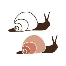 snails