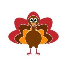 turkey