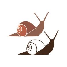 snails