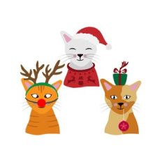 christmas cats