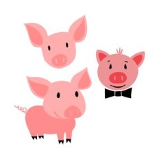 pigs