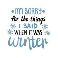 i'm sorry for the things i said when it was winter