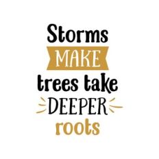 storms make trees take deeper roots