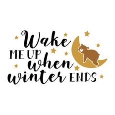 wake me up when winter ends