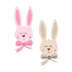 rabbits