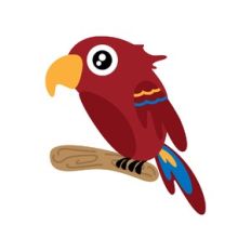 red parrot