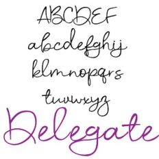 zp delegate
