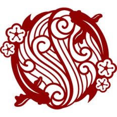 chinese new year