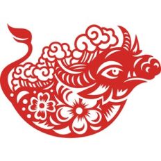 chinese new year