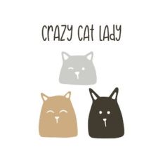 crazy cat lady