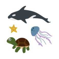sea animals