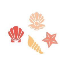 sea shells