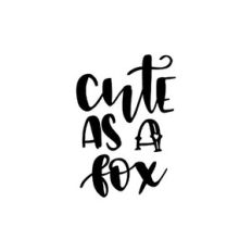 cute as a fox