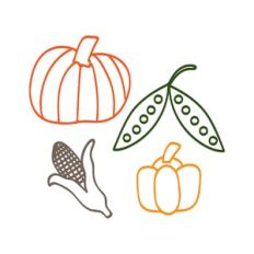 corn and pumpkins