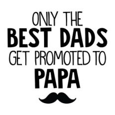 only the best dads get promoted to papa
