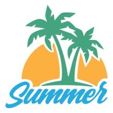 summer palm trees