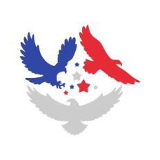 4th of july pigeons